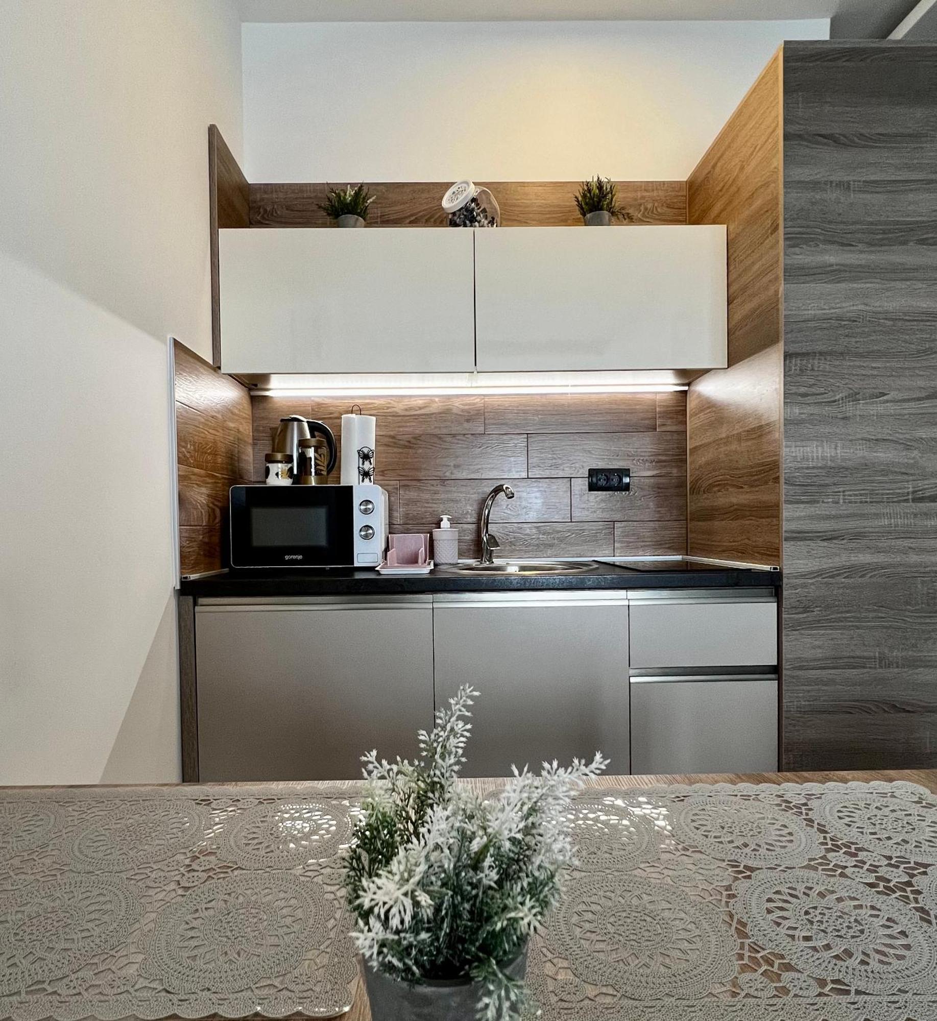 Vista Kopaonik Milmari Studio P22 מראה חיצוני תמונה
